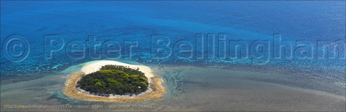 Peter Bellingham Photography Wilson Island - QLD (PBH4 00 18447)